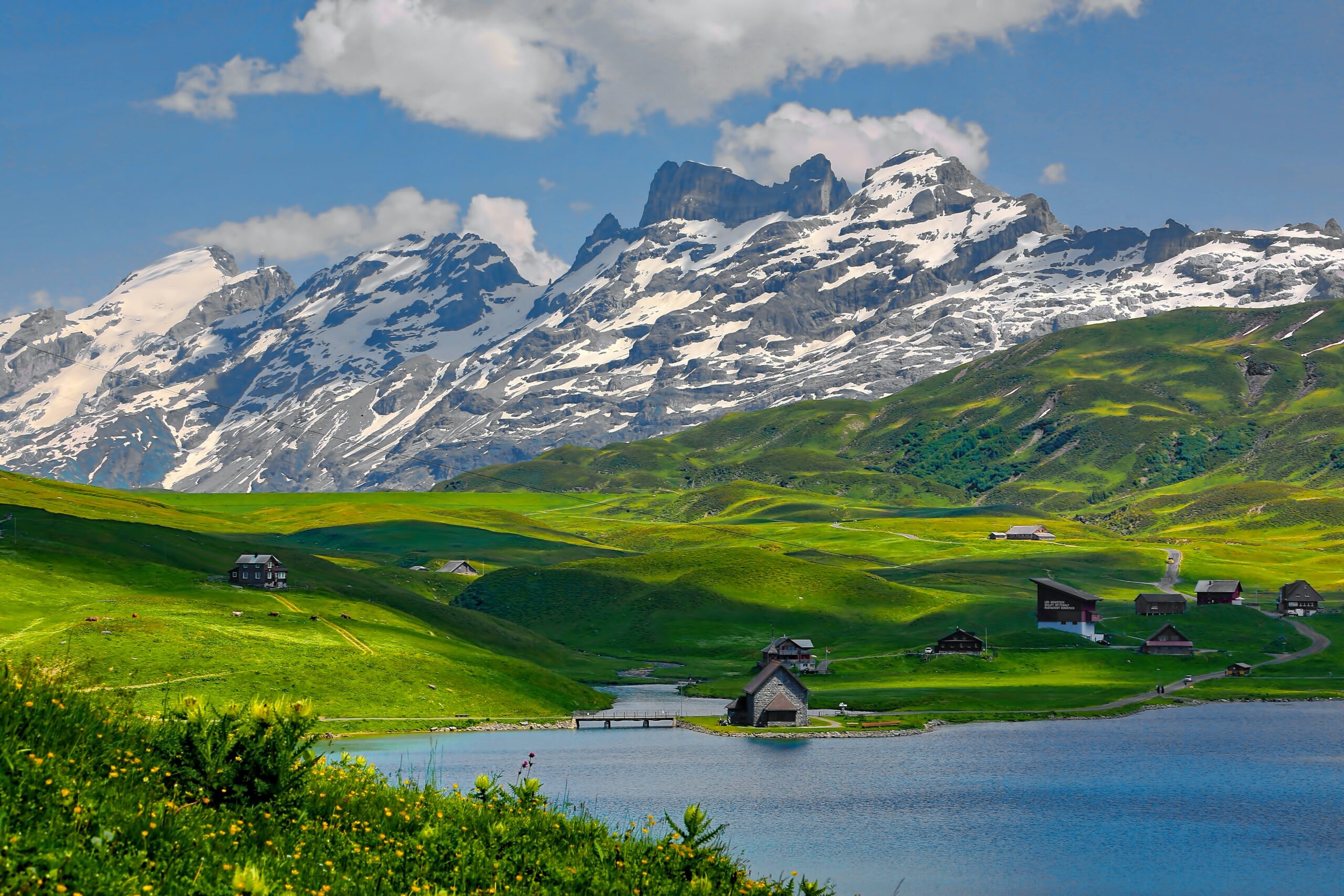 Ist man hoch in den Bergen, zum Beispiel in den Alpen, vor den Pollen sicher?