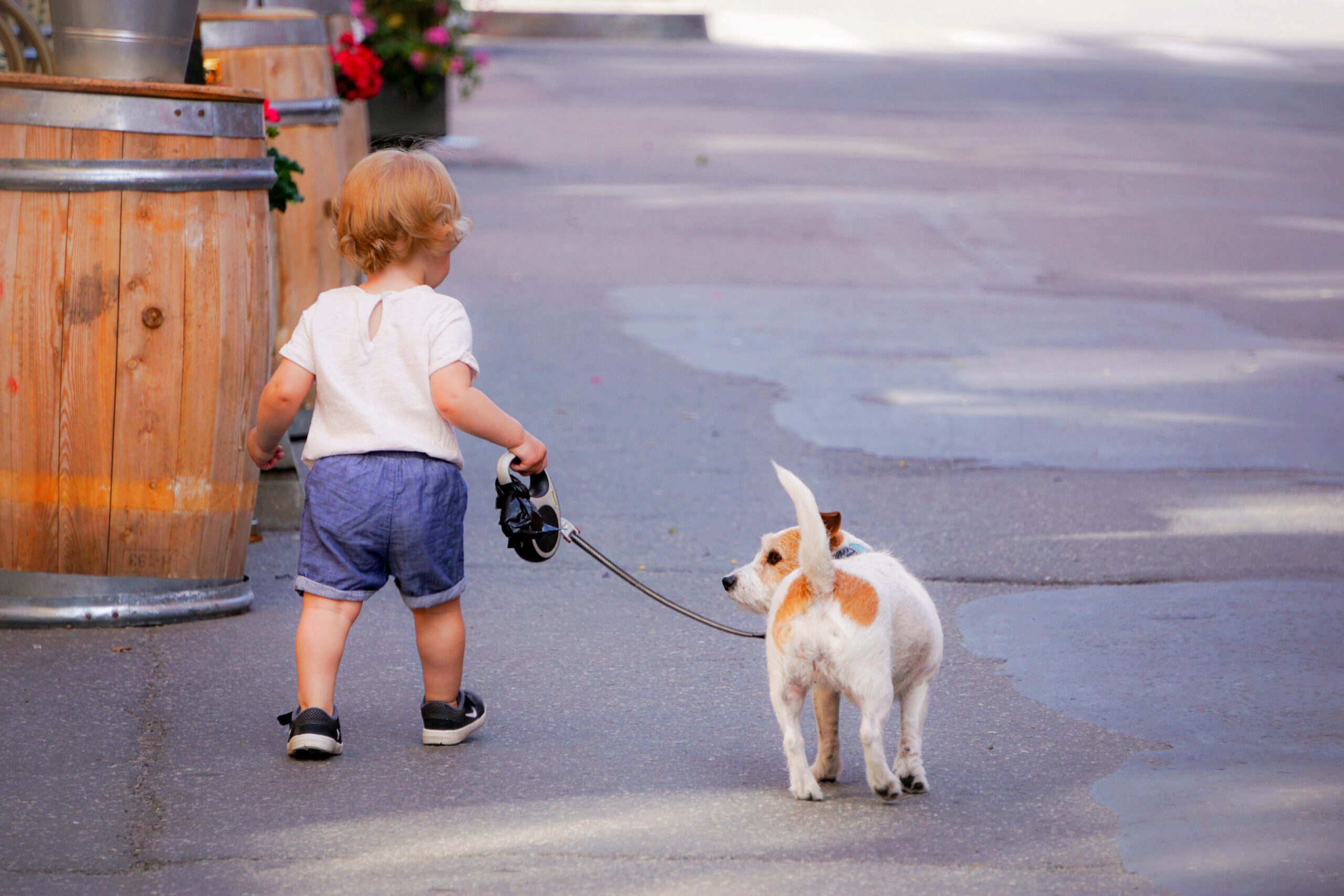 Kleinkind läuft mit Hund an der Leine